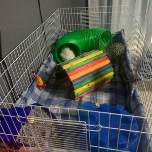 Guinea pig cage